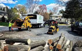 Best Utility Line Clearance  in Mentone, CA