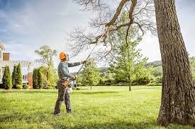 Best Storm Damage Tree Cleanup  in Mentone, CA