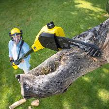 Best Commercial Tree Services  in Mentone, CA